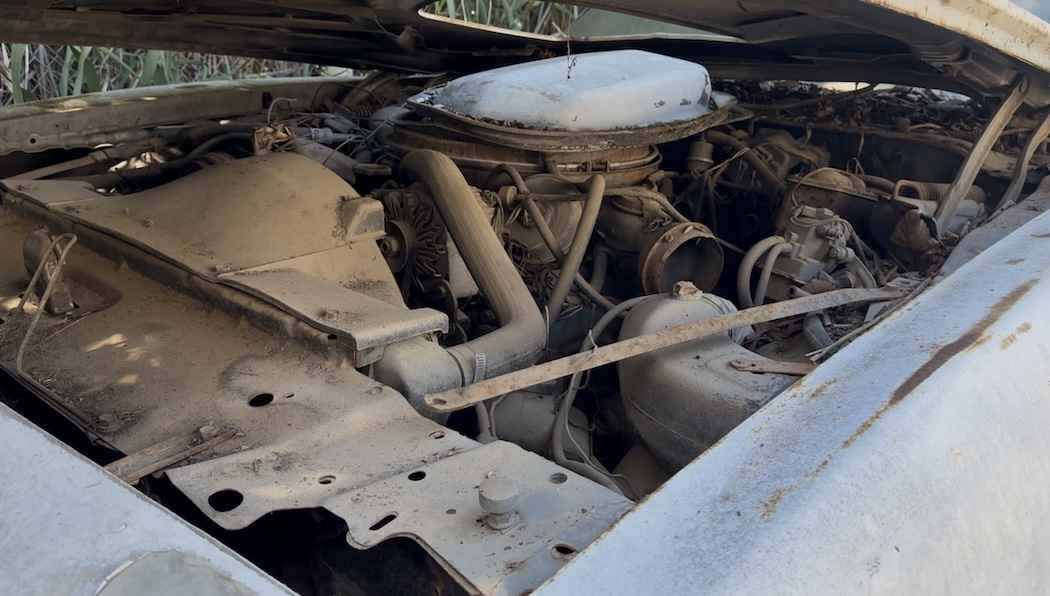 1979 Pontiac Firebird Trans Am 10th Anniversary Edition — photo 2